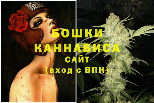 дживик Баксан