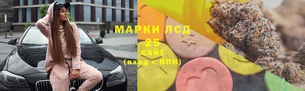 МДПВ Горняк