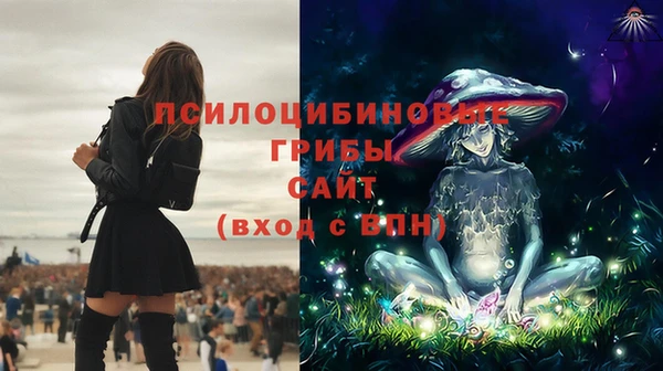 дживик Баксан
