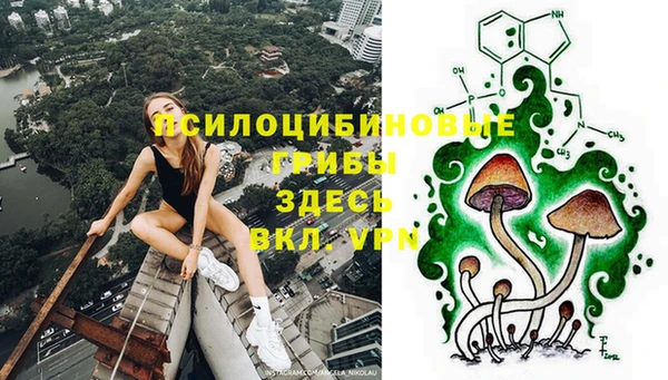 дживик Баксан