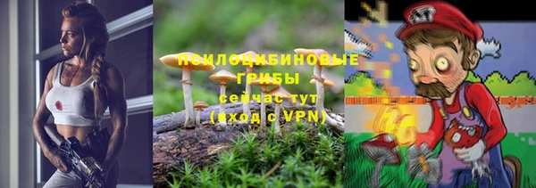 амфетамин Богданович