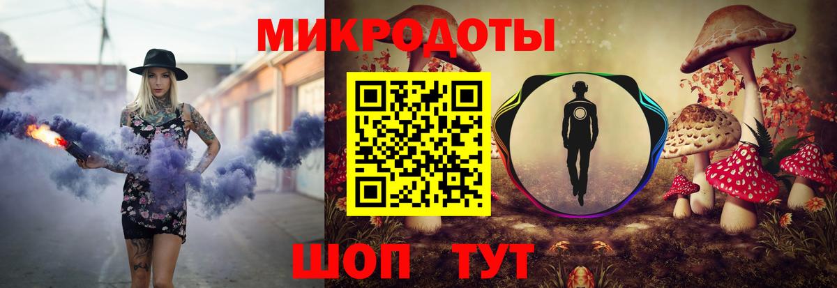 Псилоцибиновые грибы Psilocybe  Вход с VPN  Дагестанские Огни 